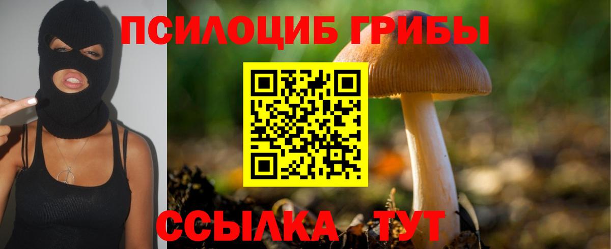 Псилоцибиновые грибы ЛСД Родники